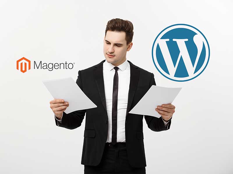 magento vs wordpress, wordpress vs magento, magento or wordpress, wordpress or magento, web design company in india