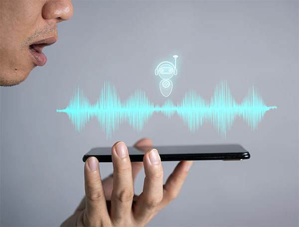 Voice User Interface (VUI)